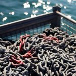 Chaînes d’amarrage utilisées pour stabiliser les pontons et infrastructures flottantes Locaponton